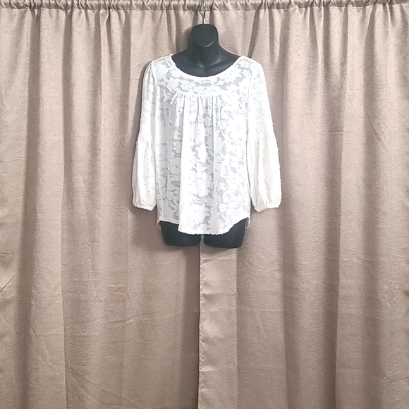 Swoop neck sheer top - Picture 1 of 5